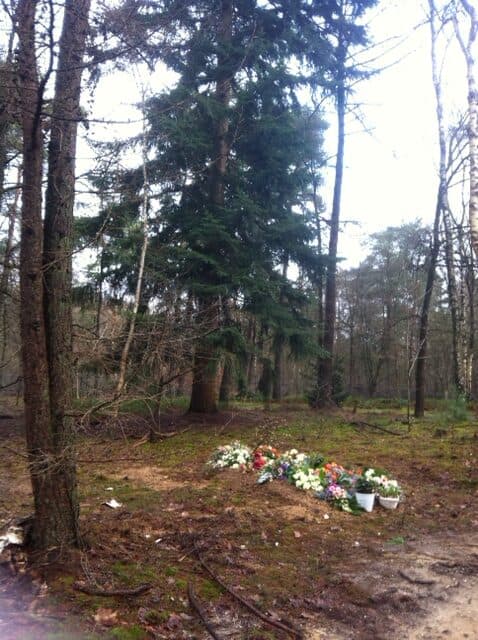 Natuurgraf met bloemen tussen de dennen