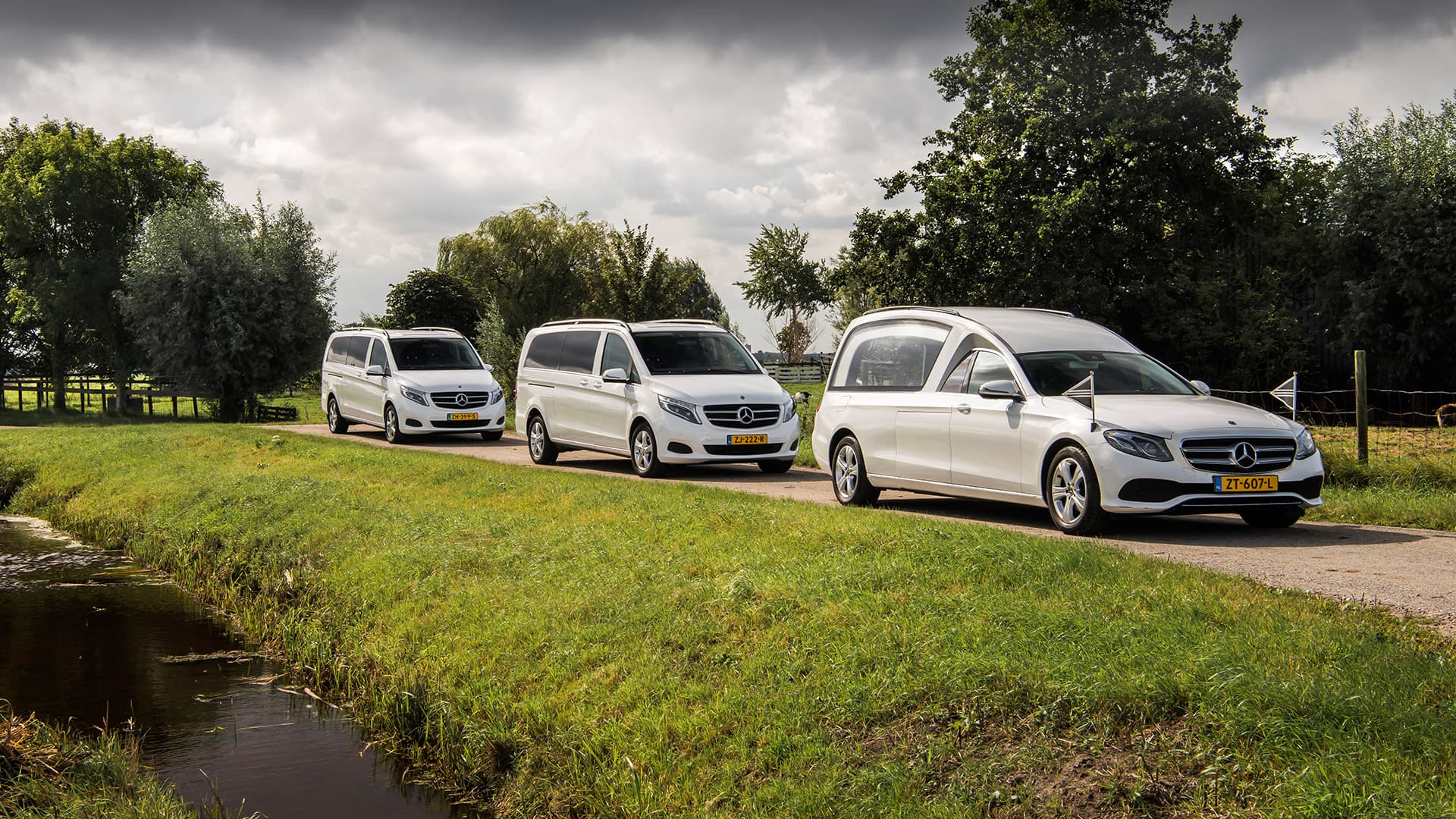 Witte rouwauto en volgauto’s langs een sloot
